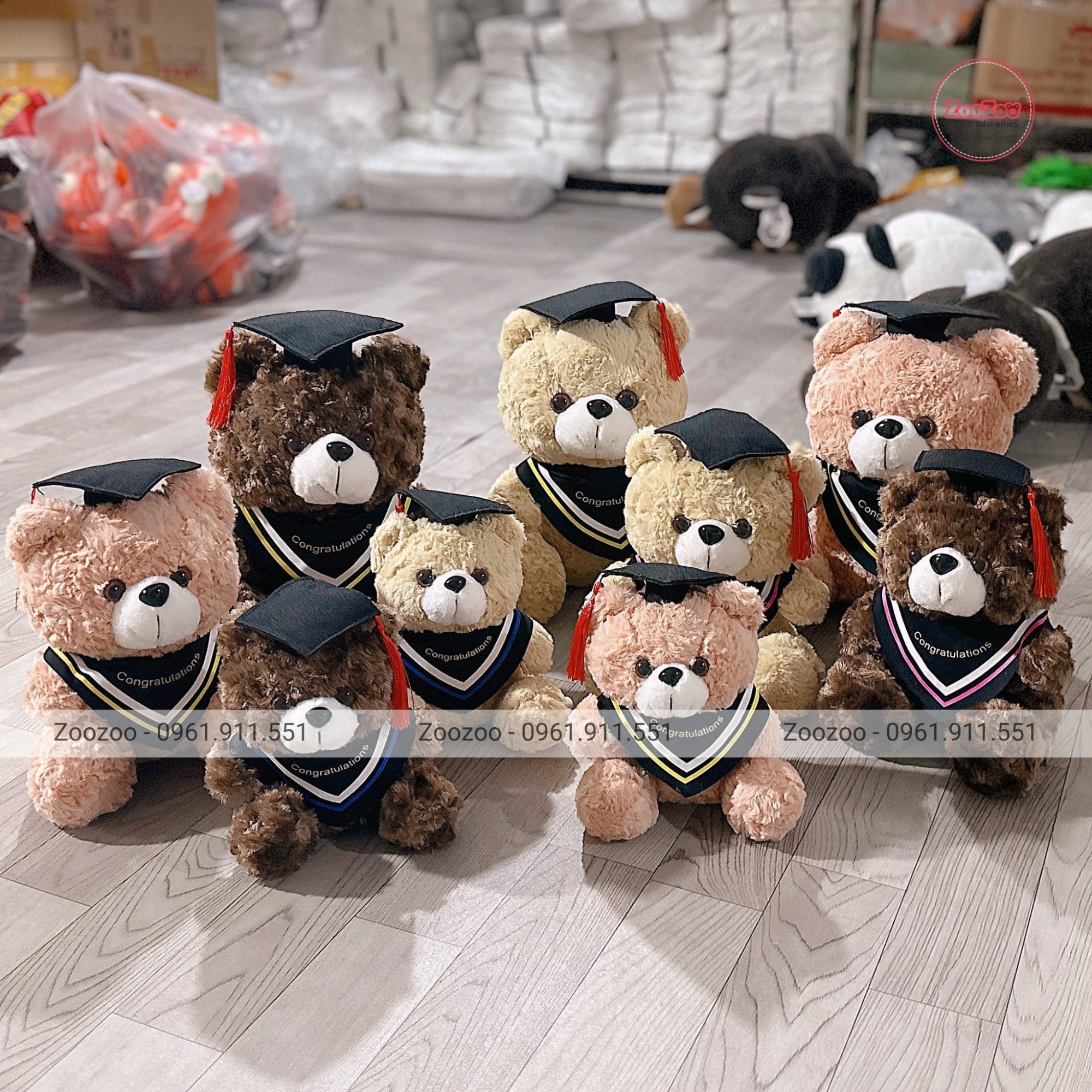 Gấu tốt nghiệp teddy choàng khăn TC