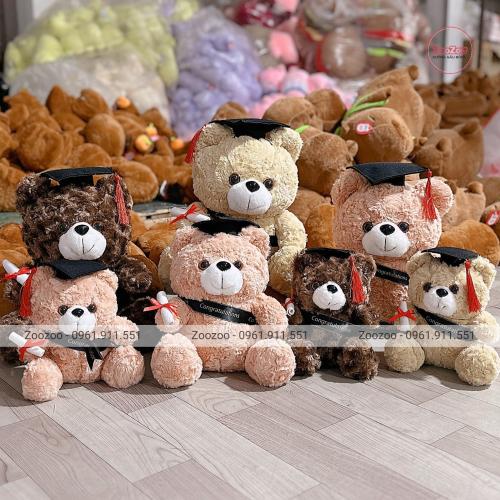 Gấu tốt nghiệp teddy đeo ruy băng TC