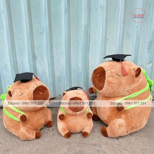 Gấu tốt nghiệp Capybara lông xù TC