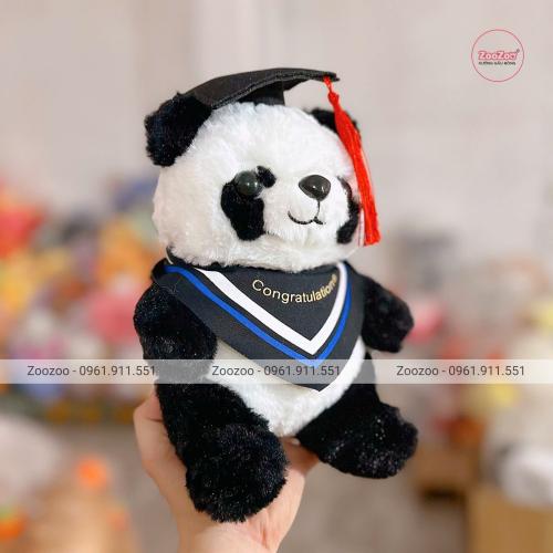 Gấu tốt nghiệp Panda choàng khăn TC